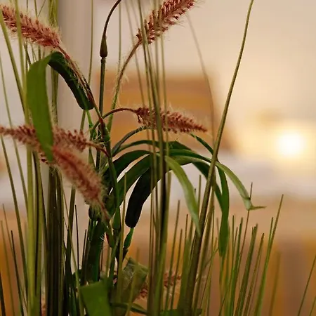 아파트 Modern 2-bed Apt, Late Check In Available 스플리트