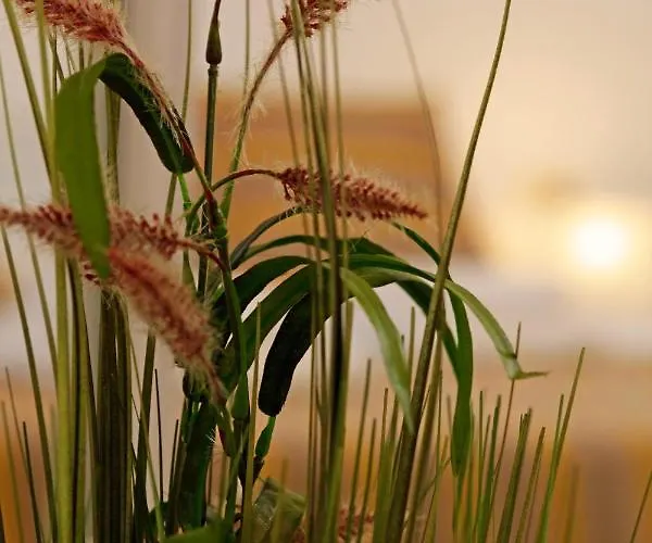 アパート Modern 2-bed Apt, Late Check In Available スプリト